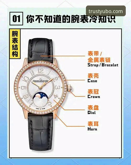 宇博如何下载使用技巧 宇博官方平台下载与使用技巧:必备知识全解析